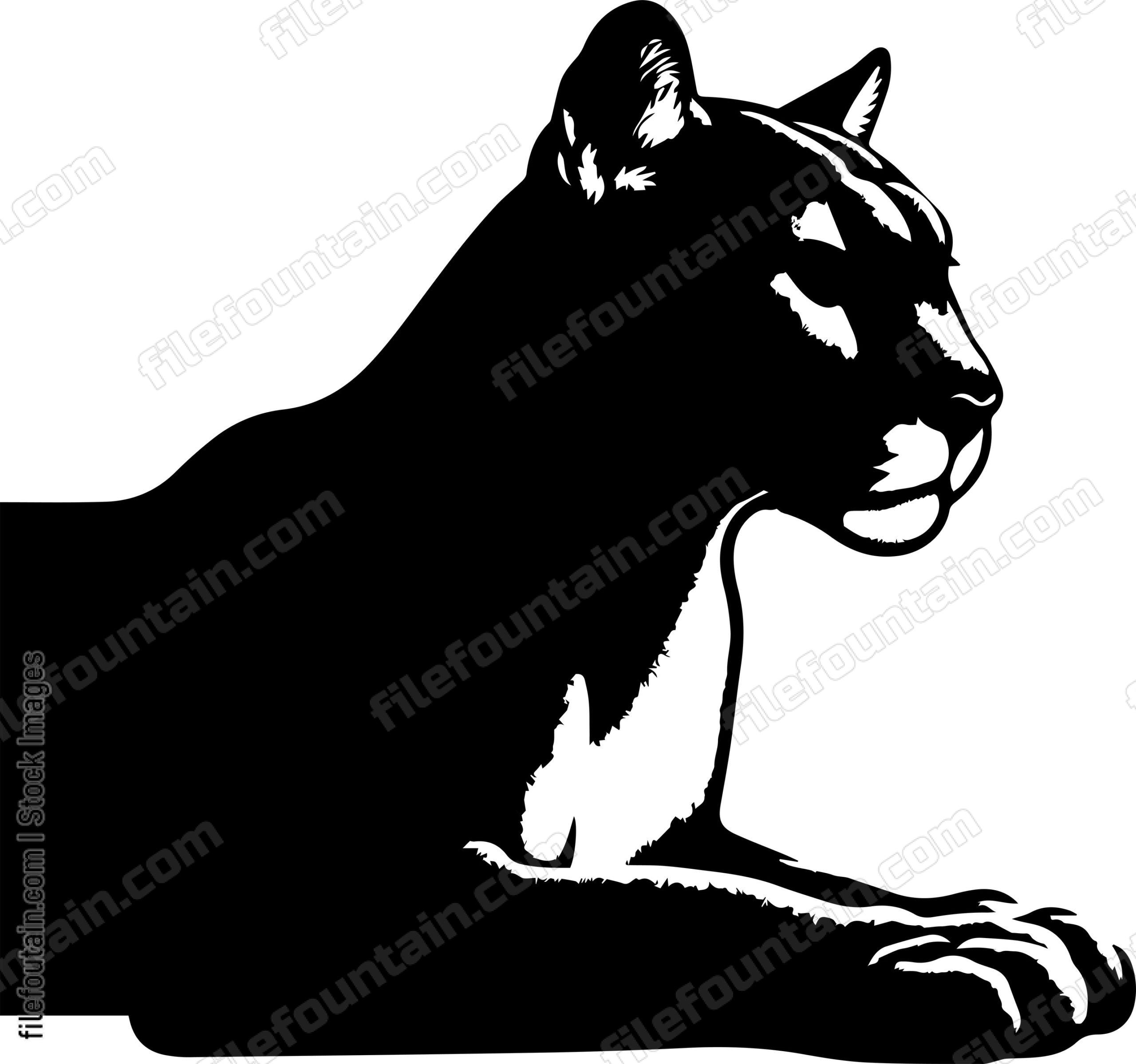 Mountain Lion