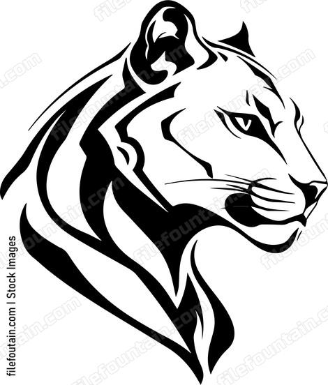 Mountain Lion