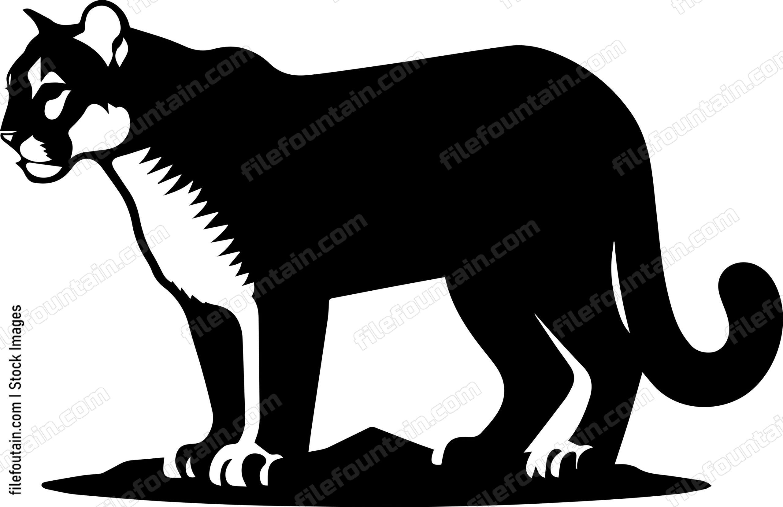 Mountain Lion