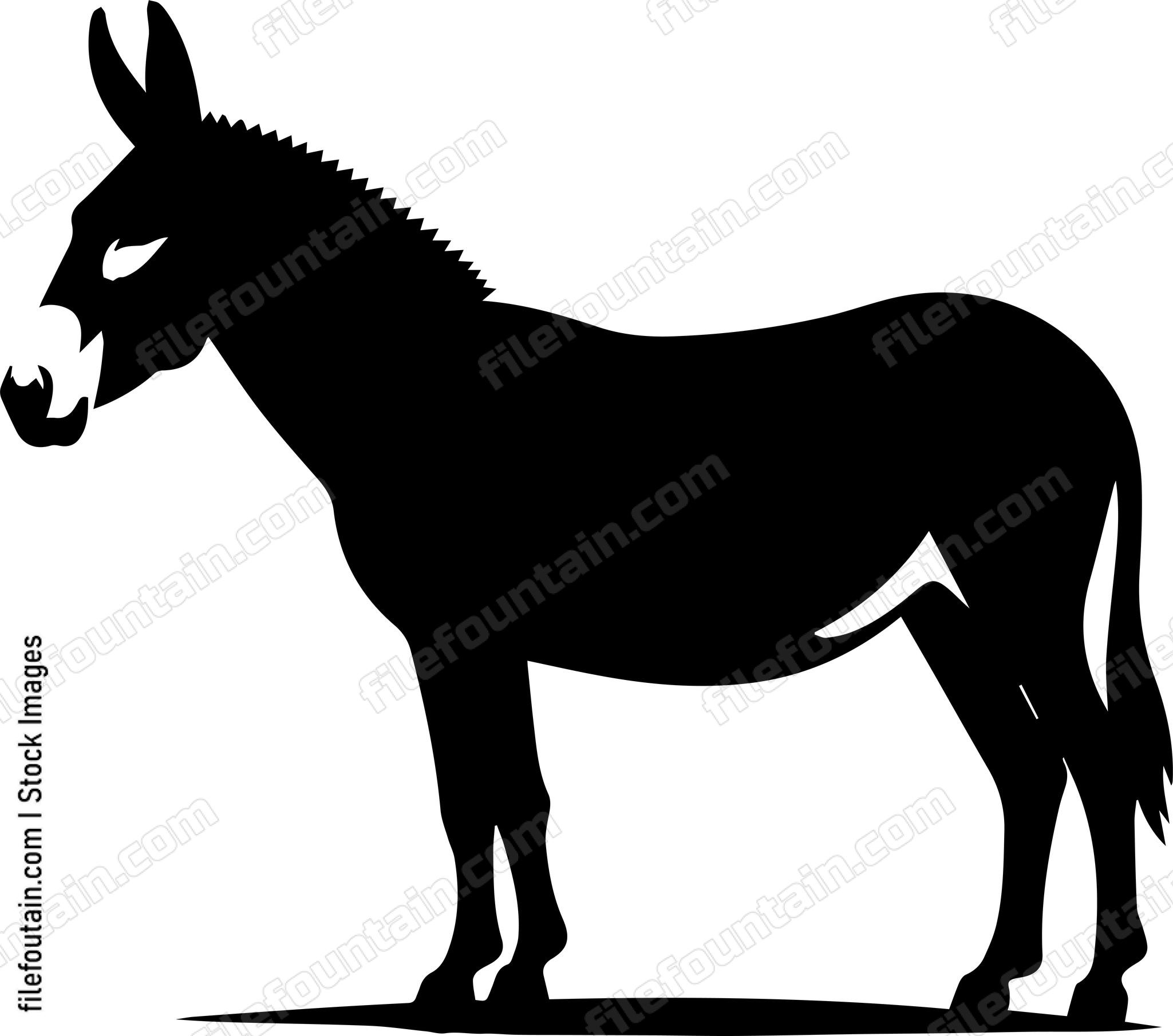 Mule