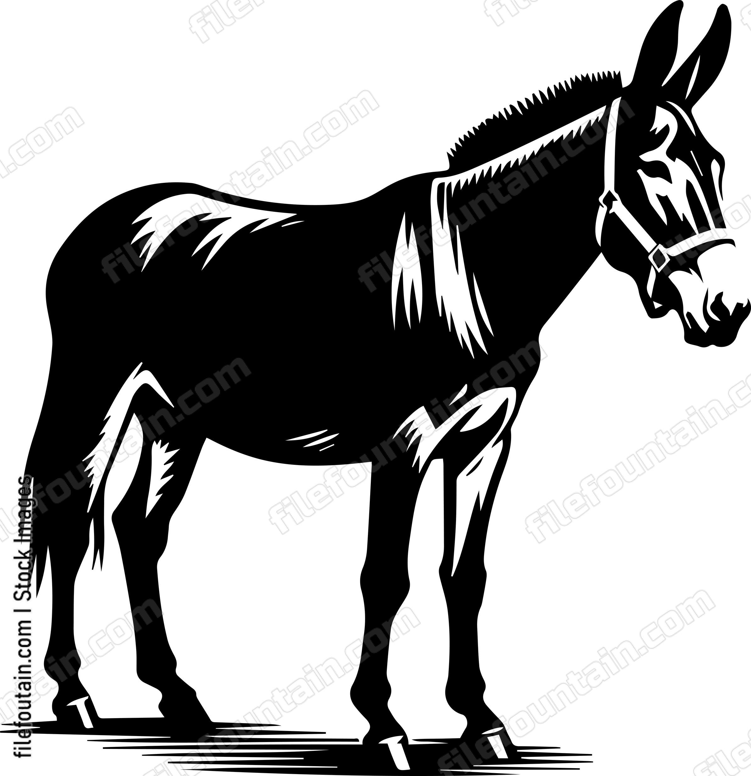 Mule