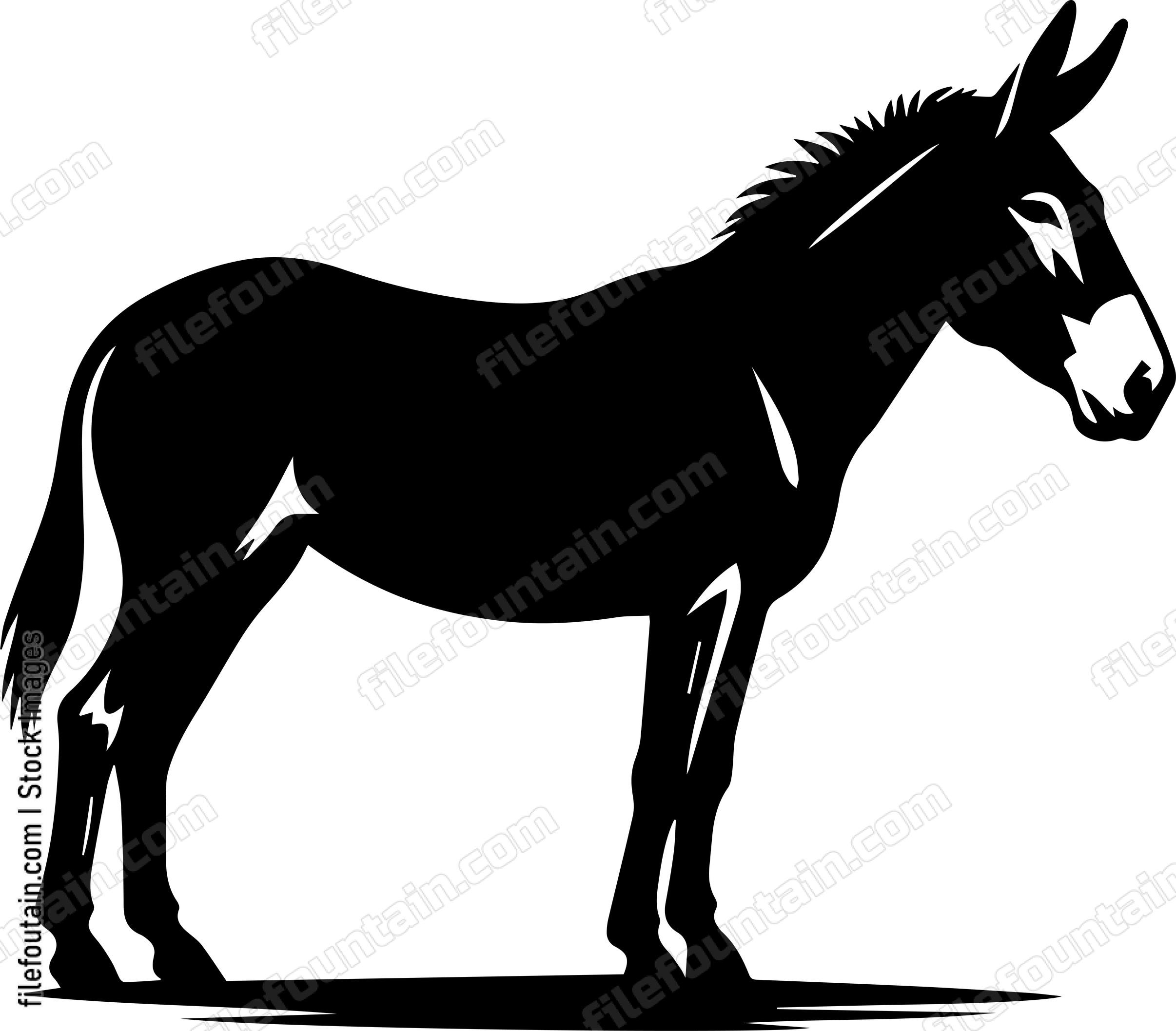 Mule