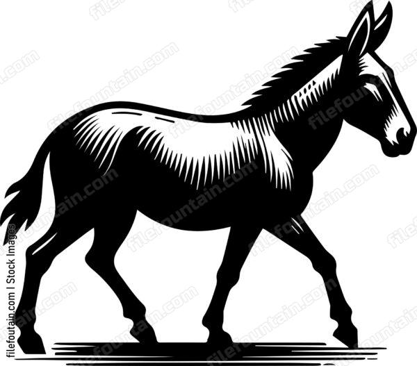 Mule