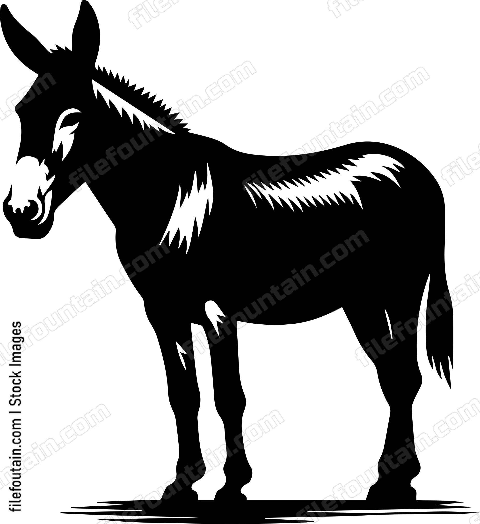Mule