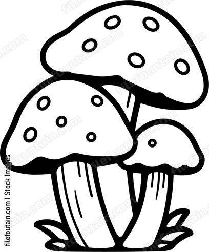 Mushroom