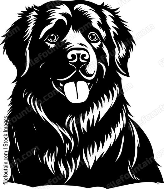 Newfoundland
