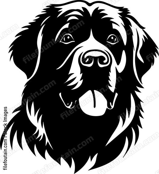 Newfoundland