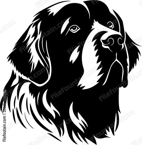 Newfoundland