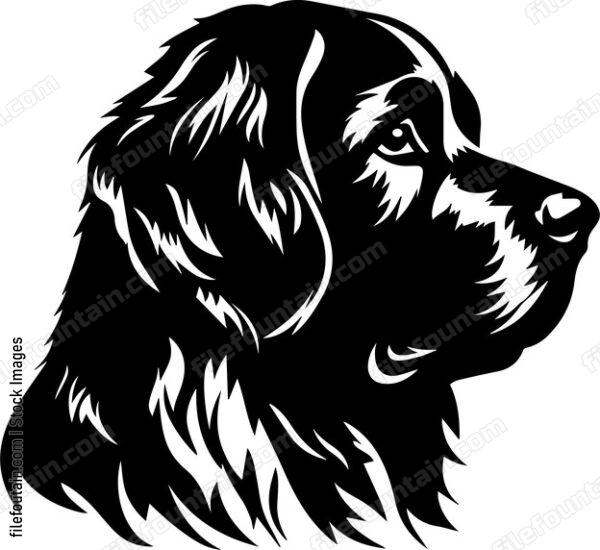 Newfoundland