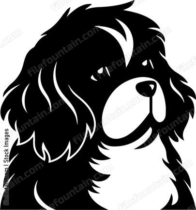 Newfoundland