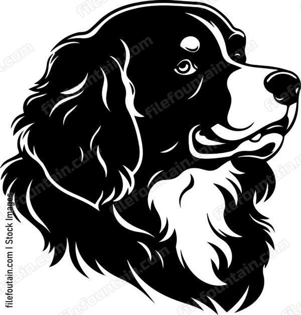Newfoundland