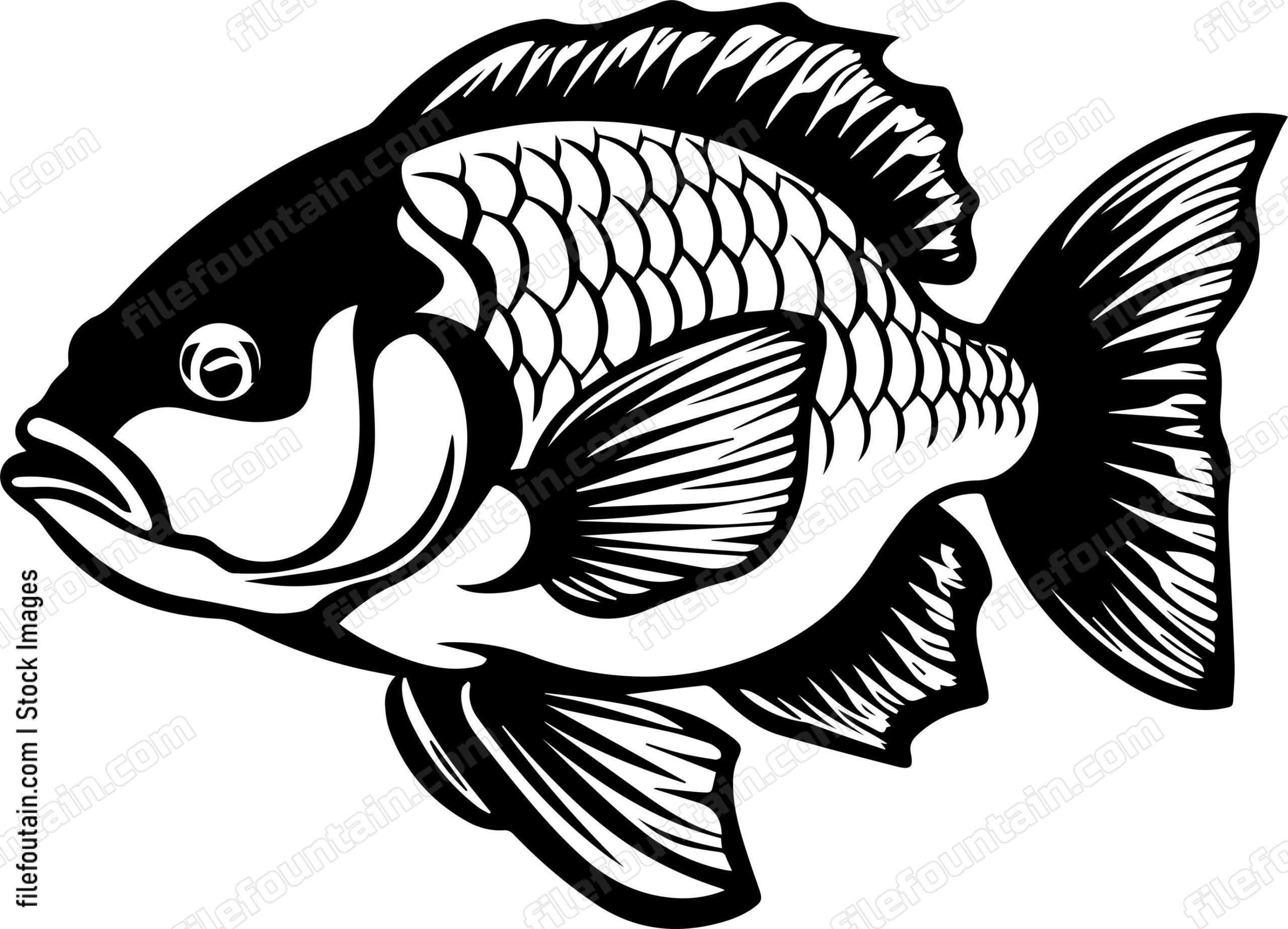 Ocean Fish