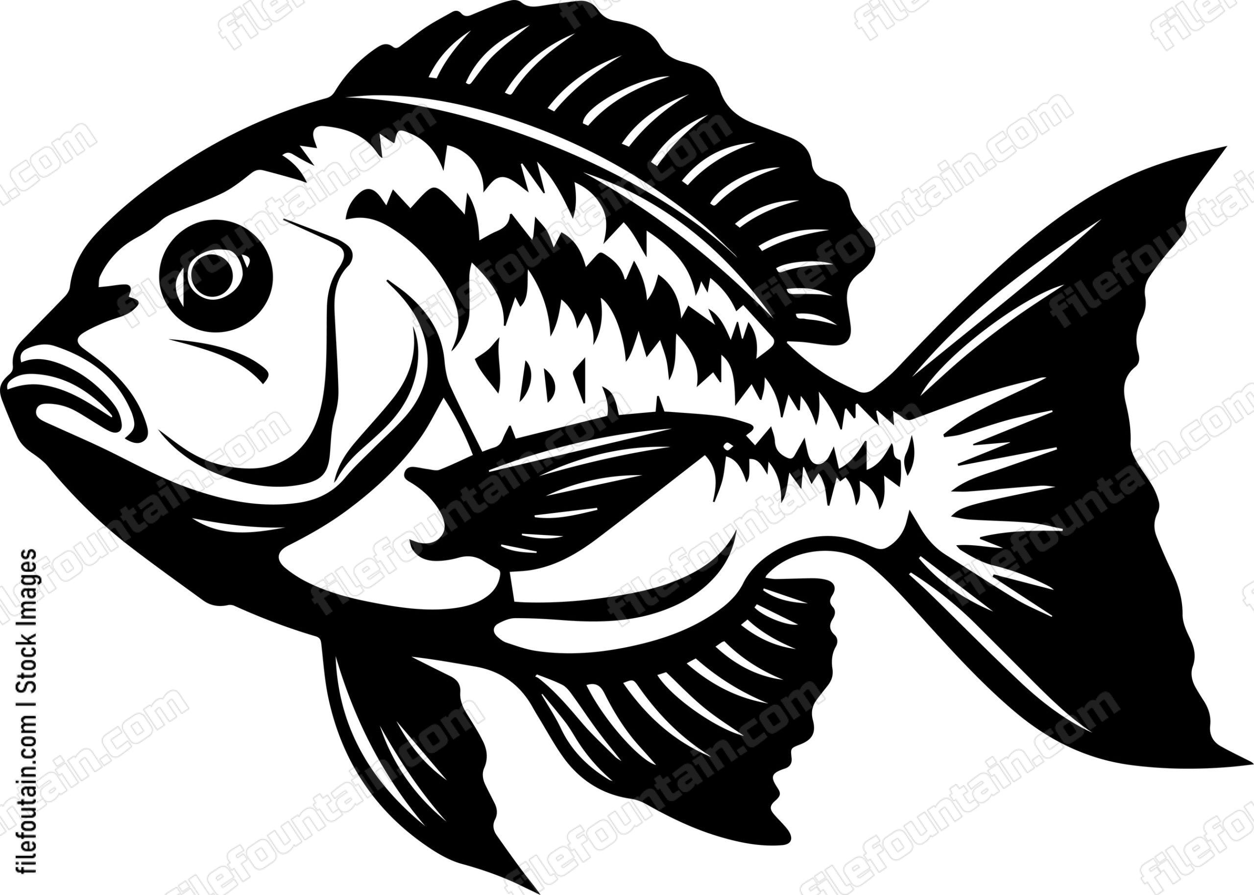 Ocean Fish