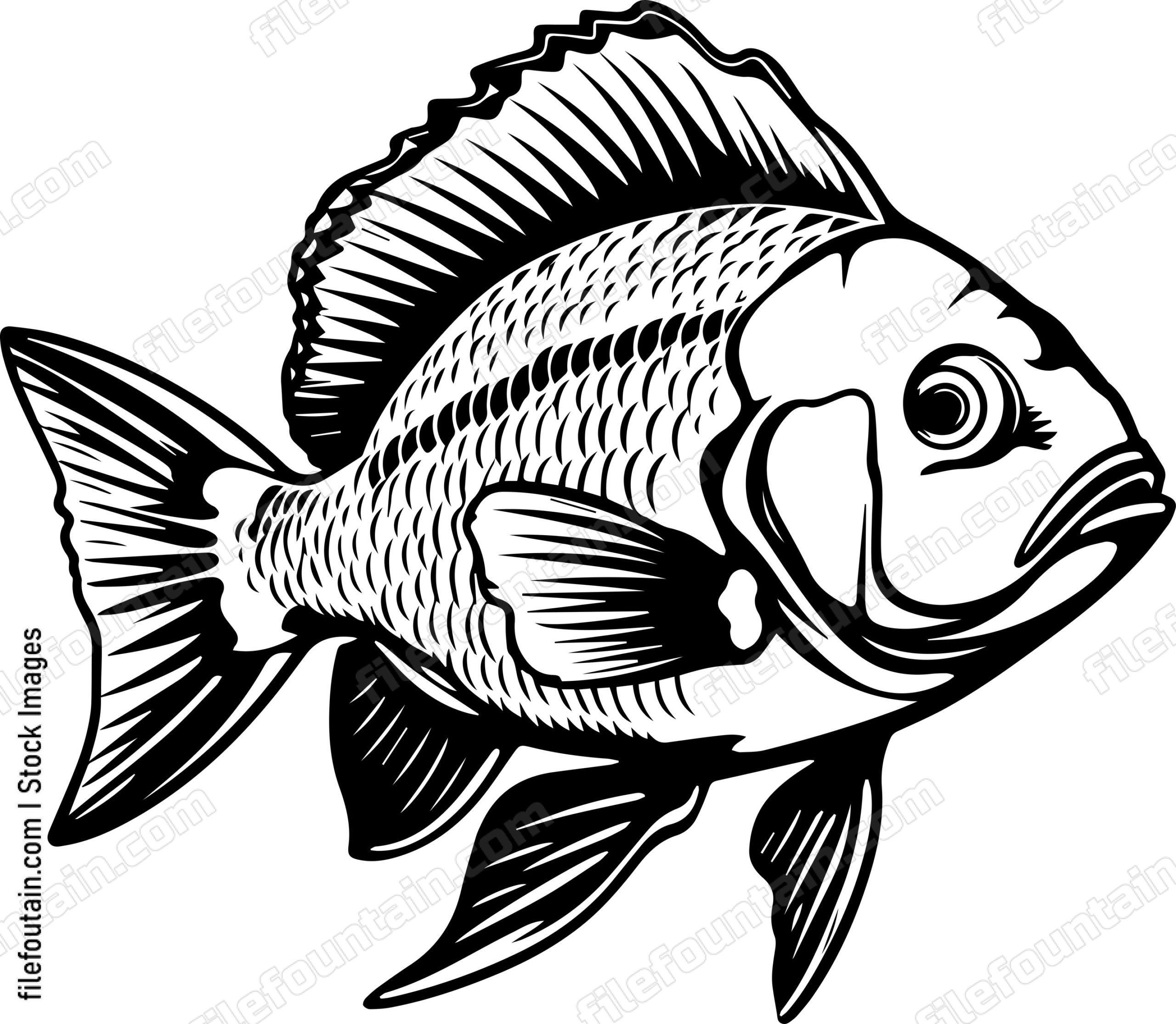 Ocean Fish