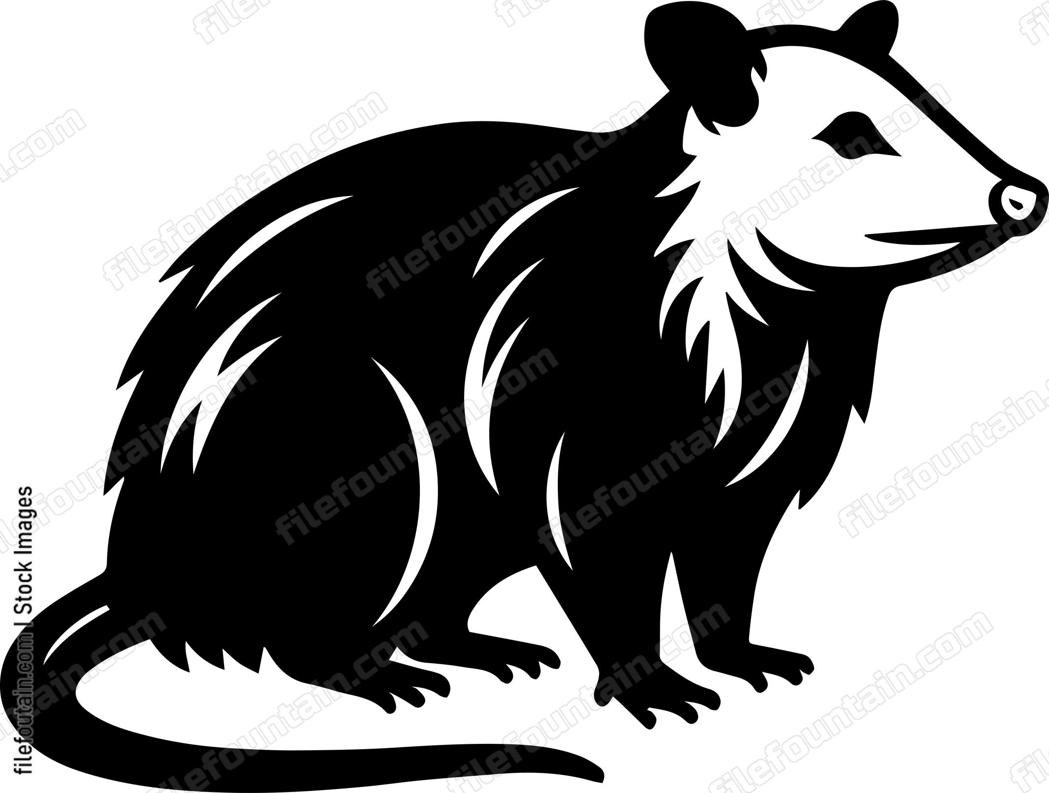Opossum