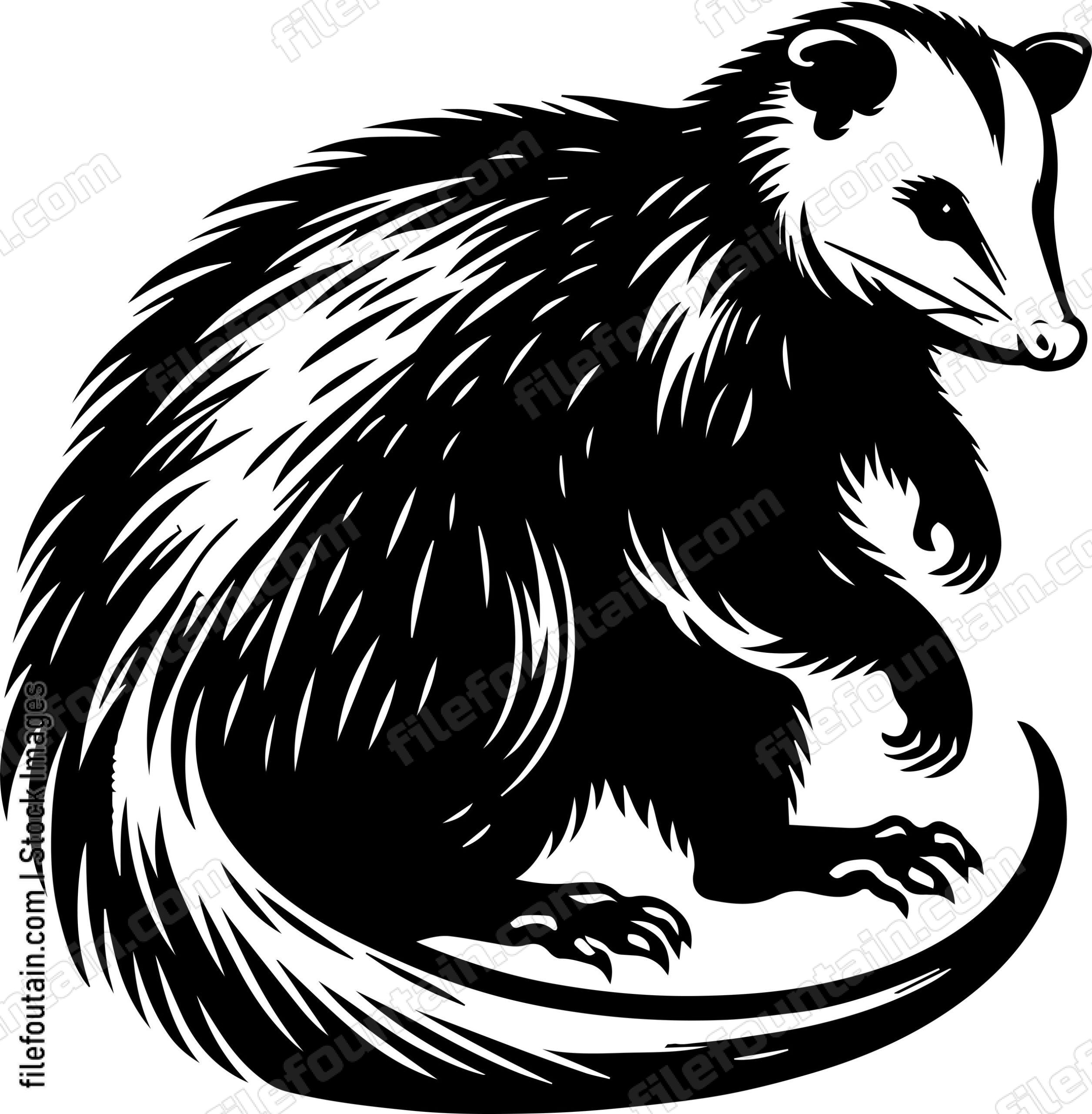 Opossum