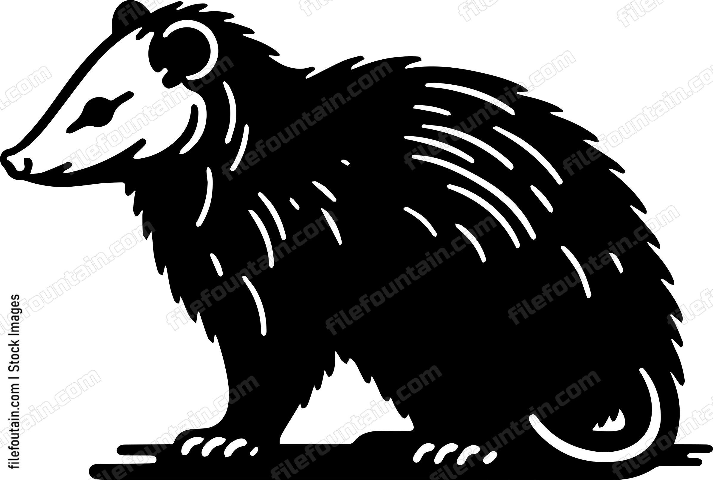 Opossum