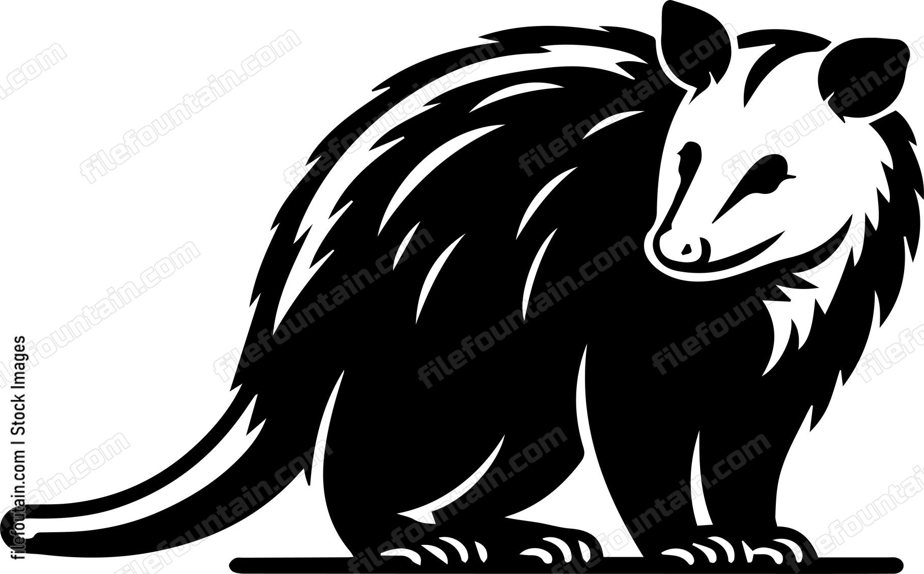 Opossum