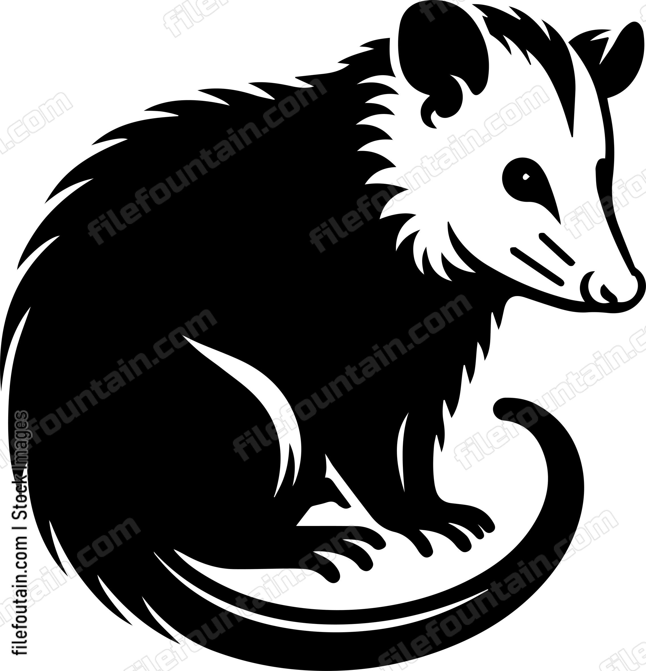 Opossum
