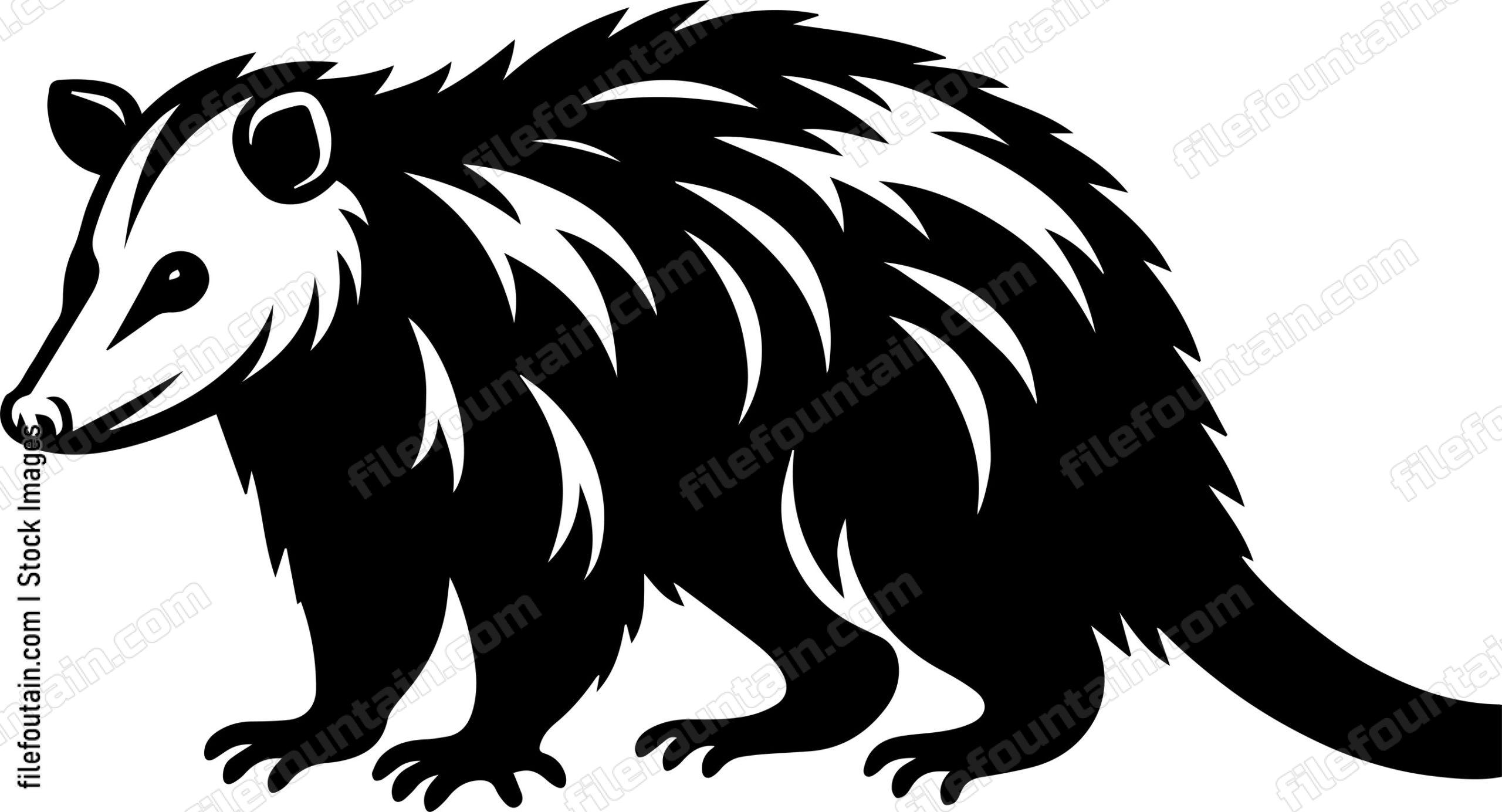 Opossum