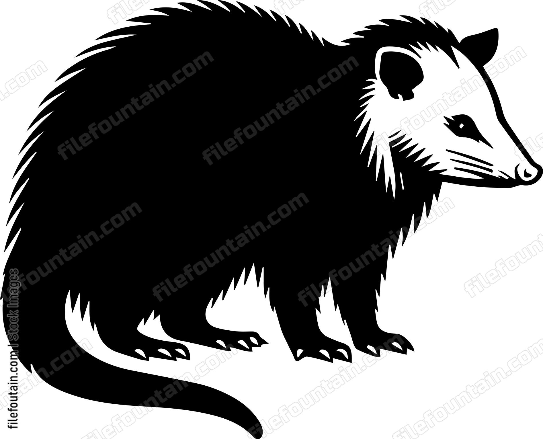 Opossum