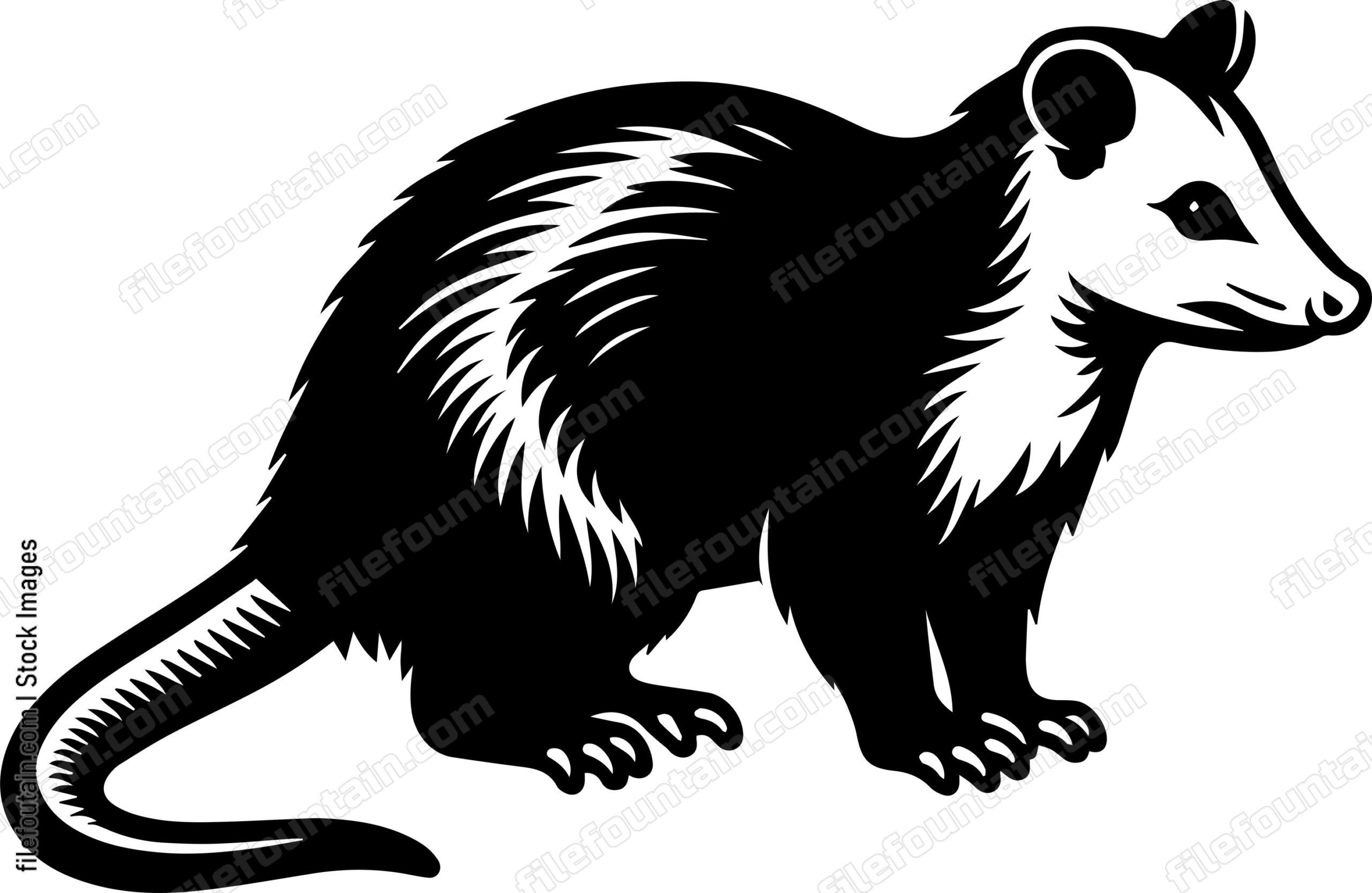 Opossum