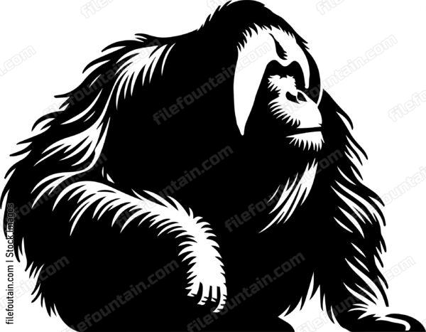 Orangutan