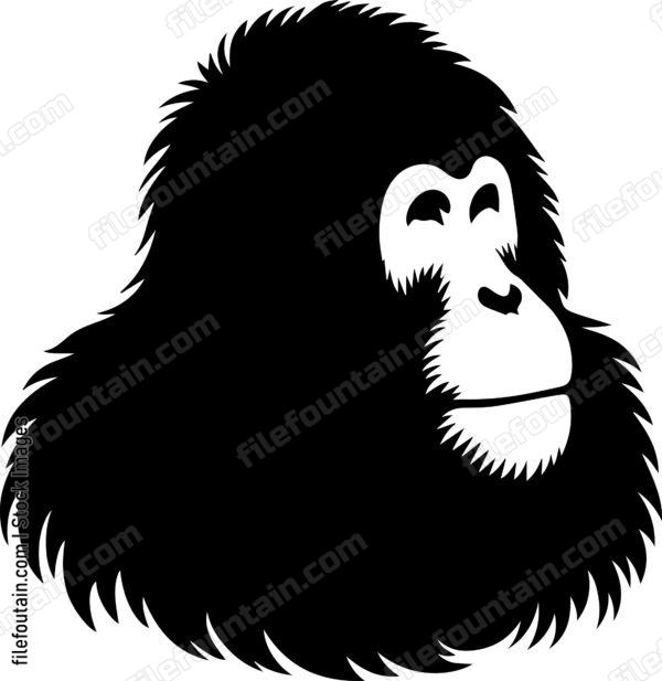 Orangutan
