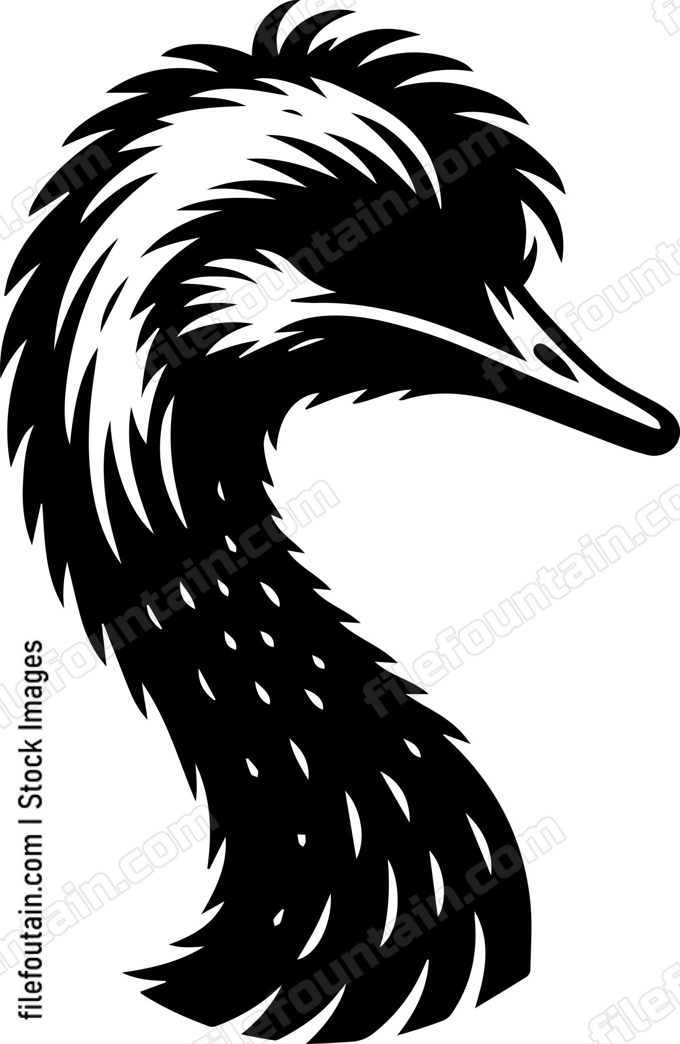 Ostrich