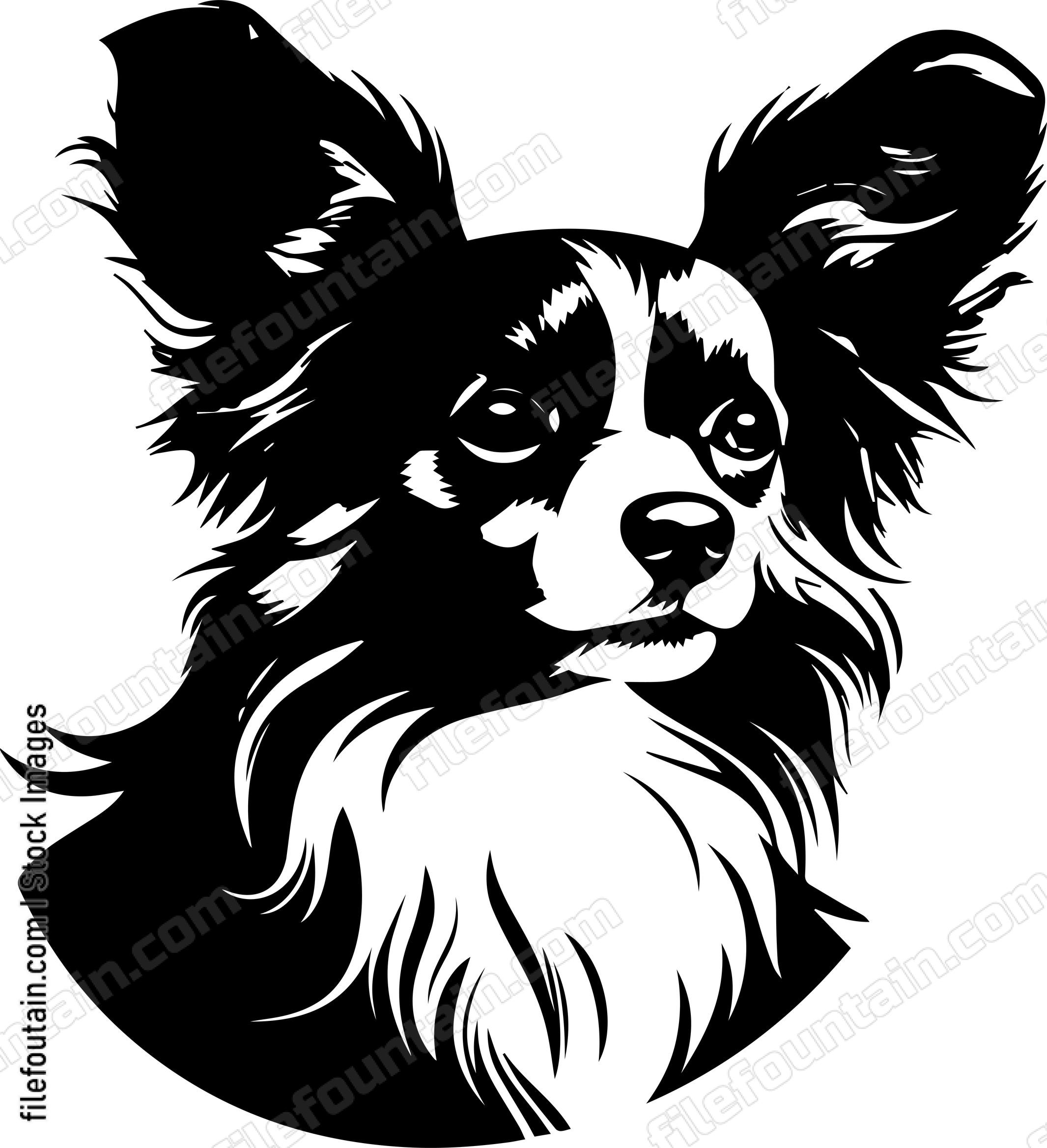 Papillon