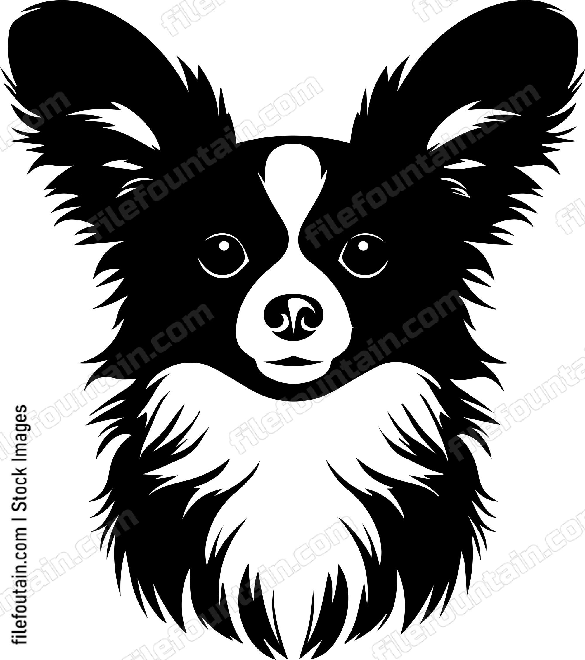 Papillon