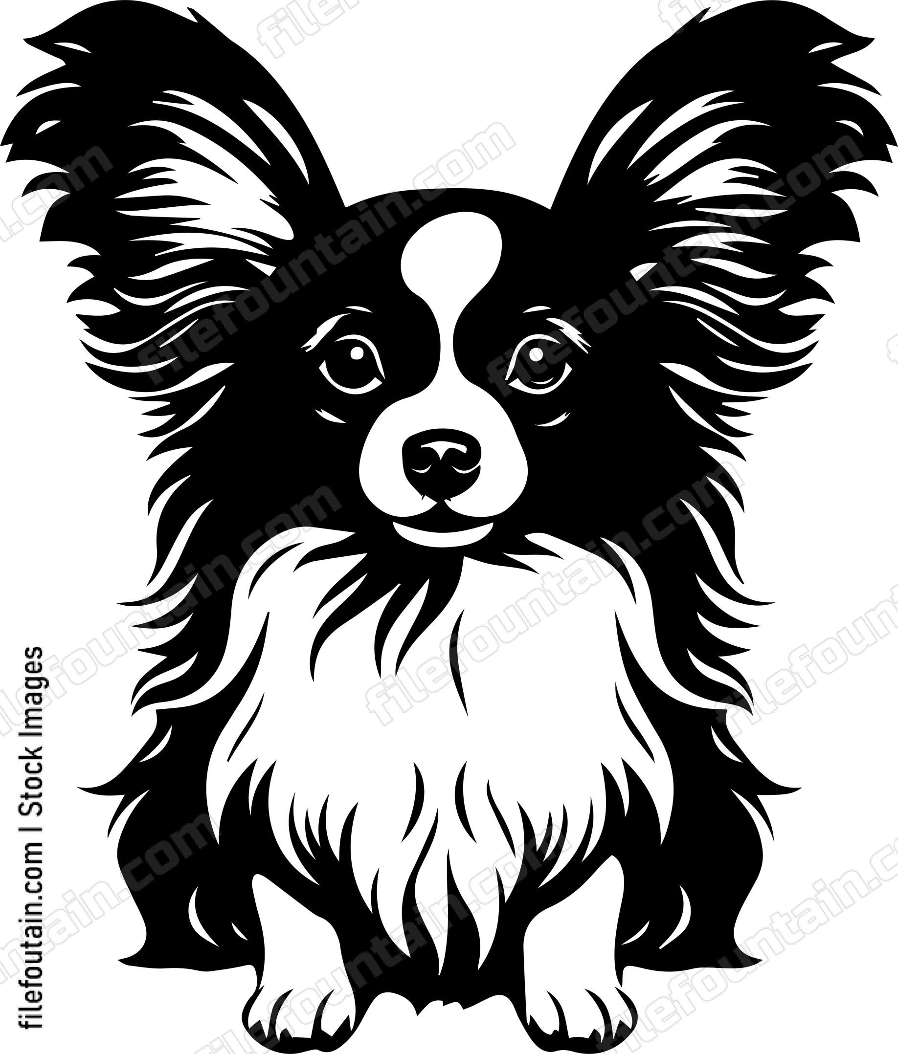 Papillon