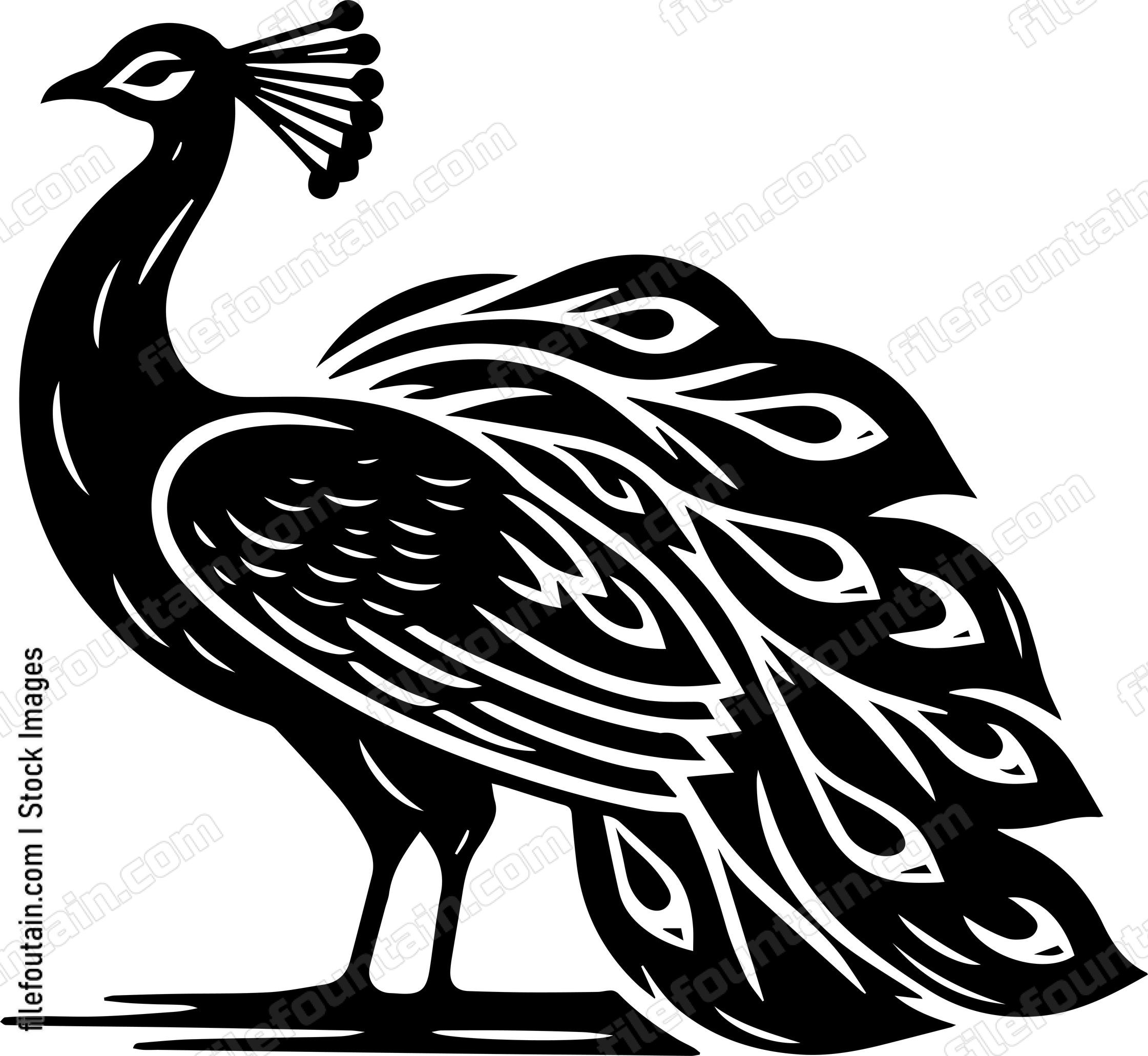 Peacock