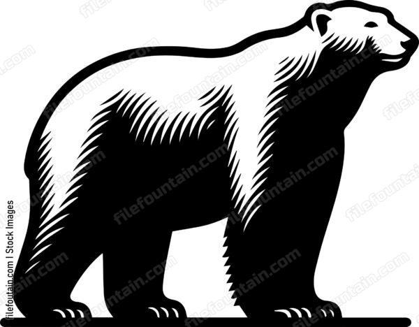 Polar Bear