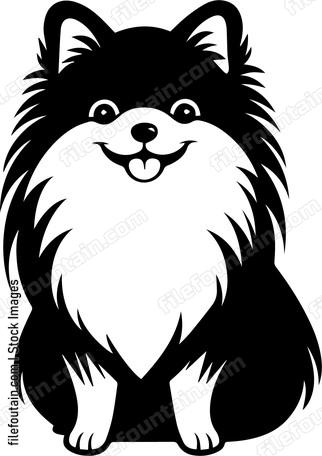 Pomeranian