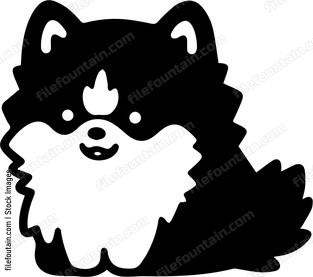 Pomeranian