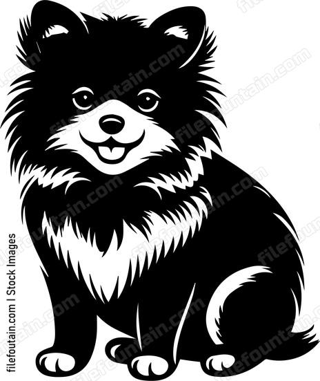 Pomeranian