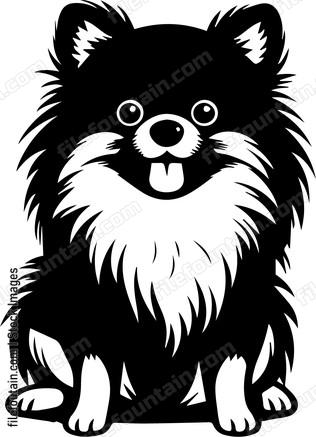 Pomeranian