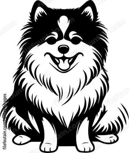 Pomeranian