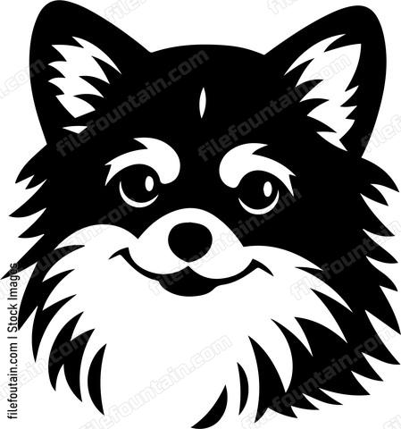 Pomeranian