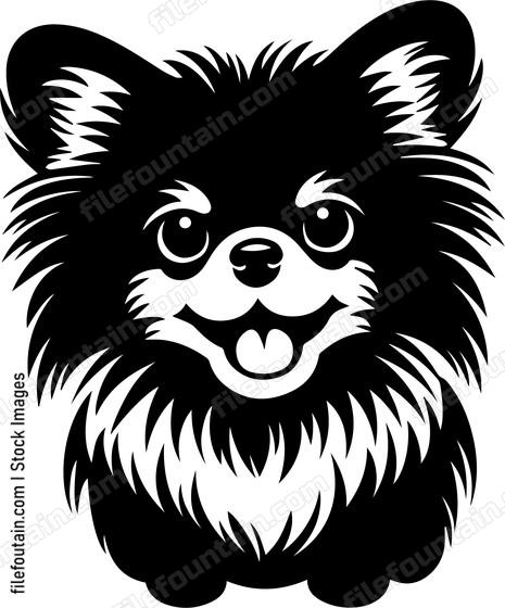 Pomeranian