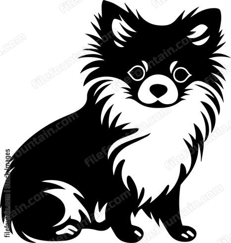 Pomeranian
