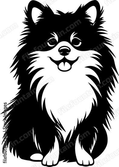 Pomeranian