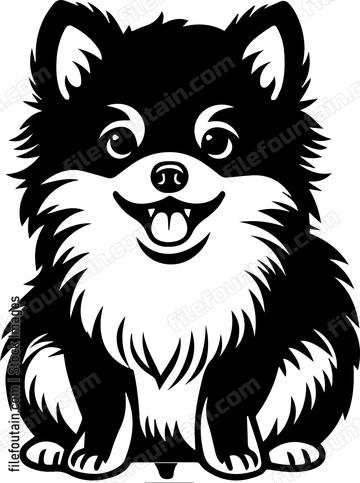 Pomeranian
