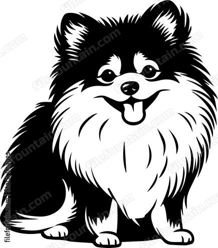 Pomeranian