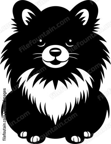 Pomeranian