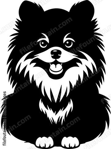 Pomeranian