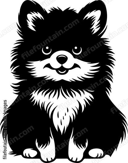 Pomeranian