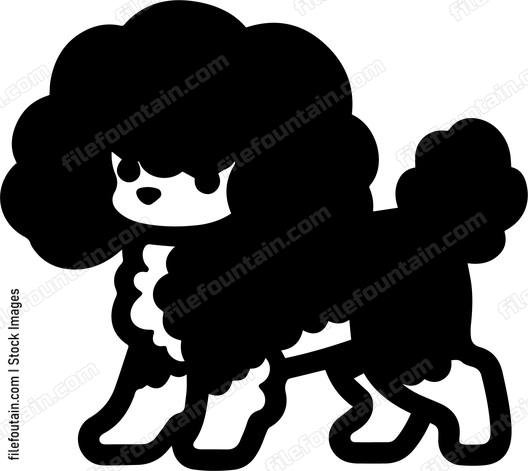 Poodle