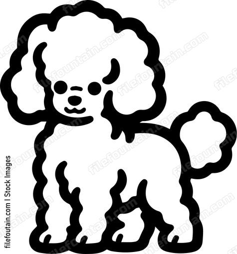 Poodle